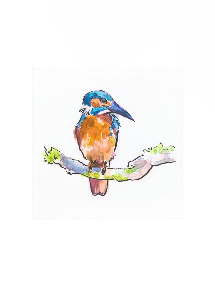 Watercolor Kingfisher - Art Print product image (1)