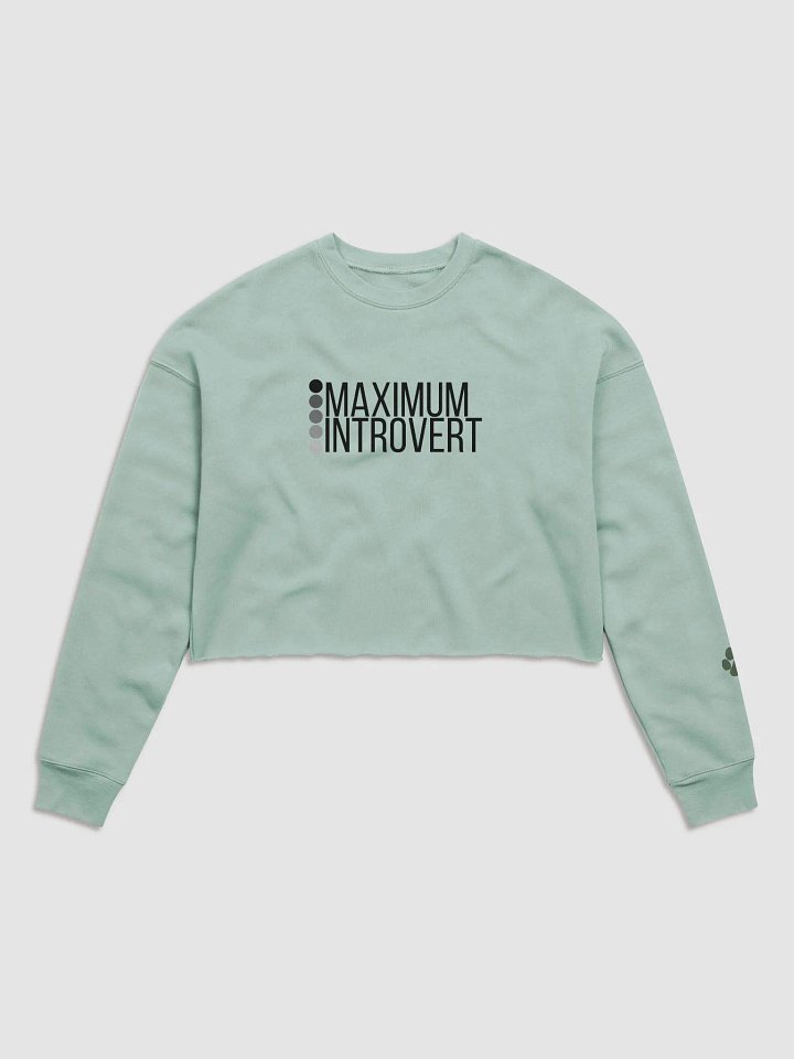 Maximum Introvert Long Sleeve Crop product image (2)