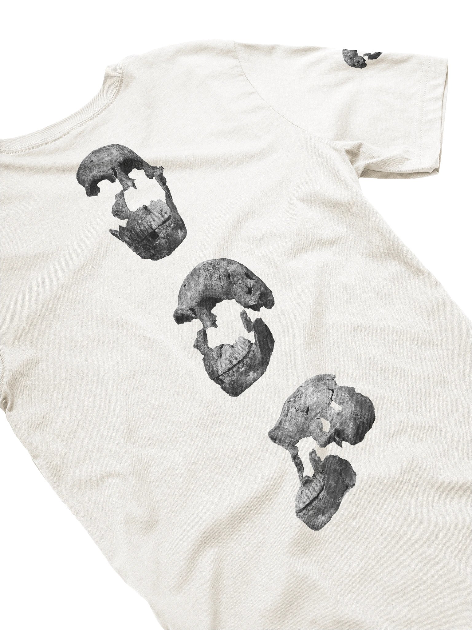Naledi Fossil Skull T-Shirt Light product image (19)