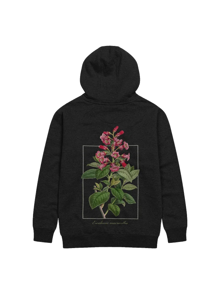 Escalonia macrantha Premium Adult Unisex Hoodie product image (1)