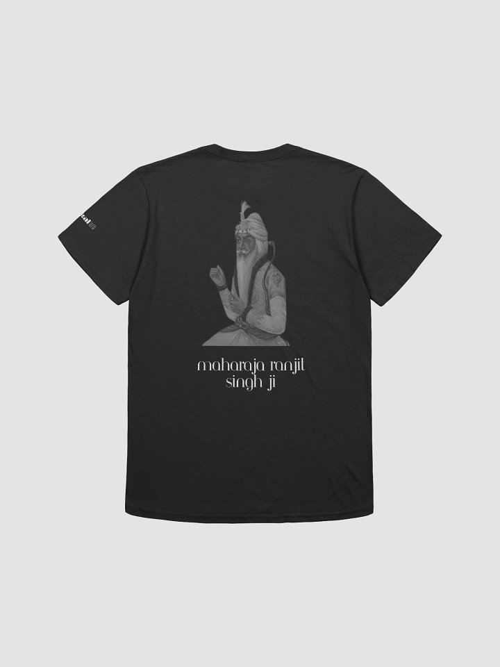 Sikh Warriors: A Akal Crew Collection - Maharaja Ranjit Singh Ji product image (2)