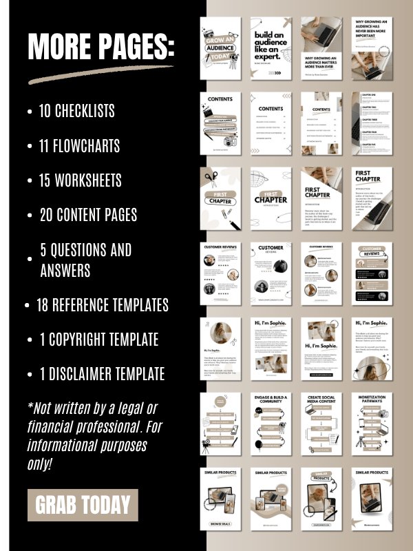 MRR/PLR Business eBook Template in Canva product image (6)