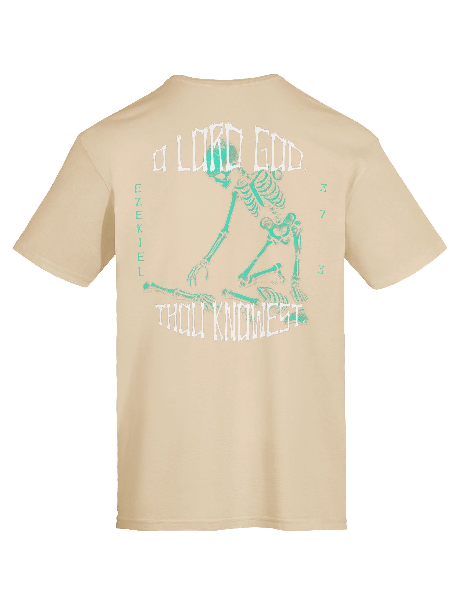 Son of Man, Can These Bones Live T-Shirt product image (77)