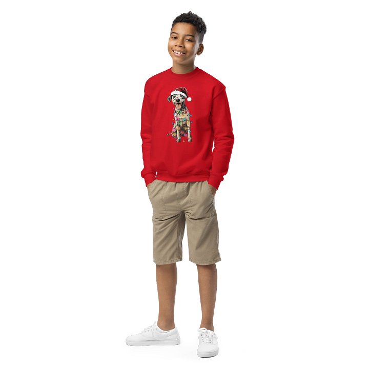 Funny Christmas Catahoula Leopard Dog Youth Sweatshirt product image (1)