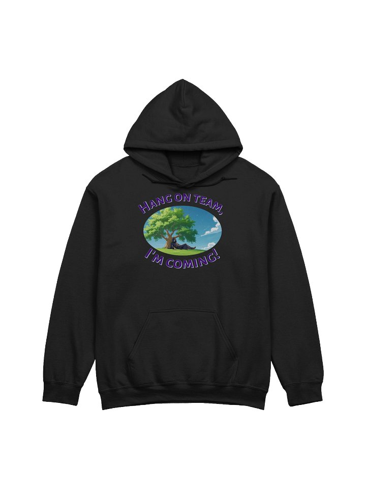 XE Hang on team, I'm coming! hoodie product image (1)