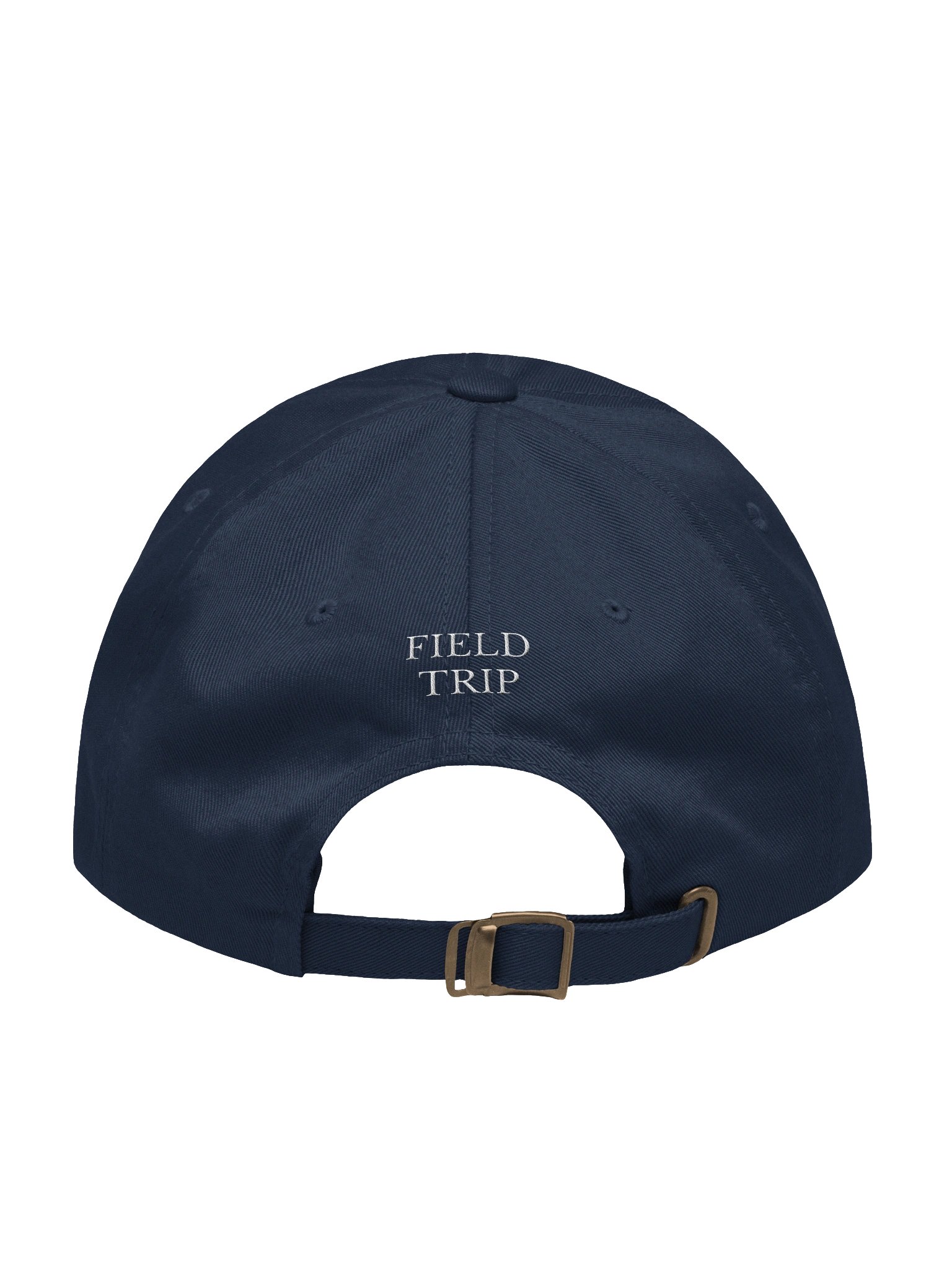Aspiring Tonys Voter hat product image (2)