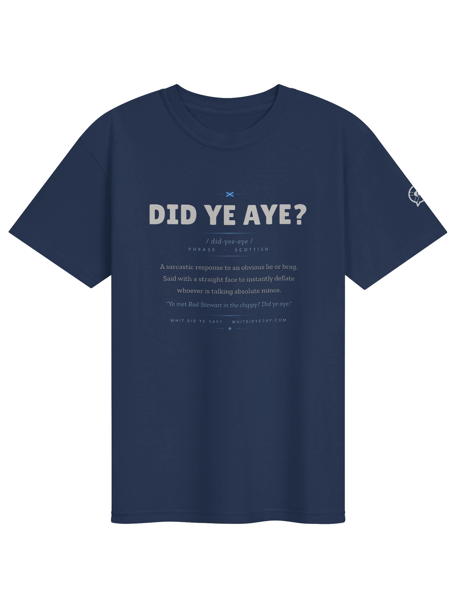 DID YE AYE? — The Dictionary Definition Tee product image (7)