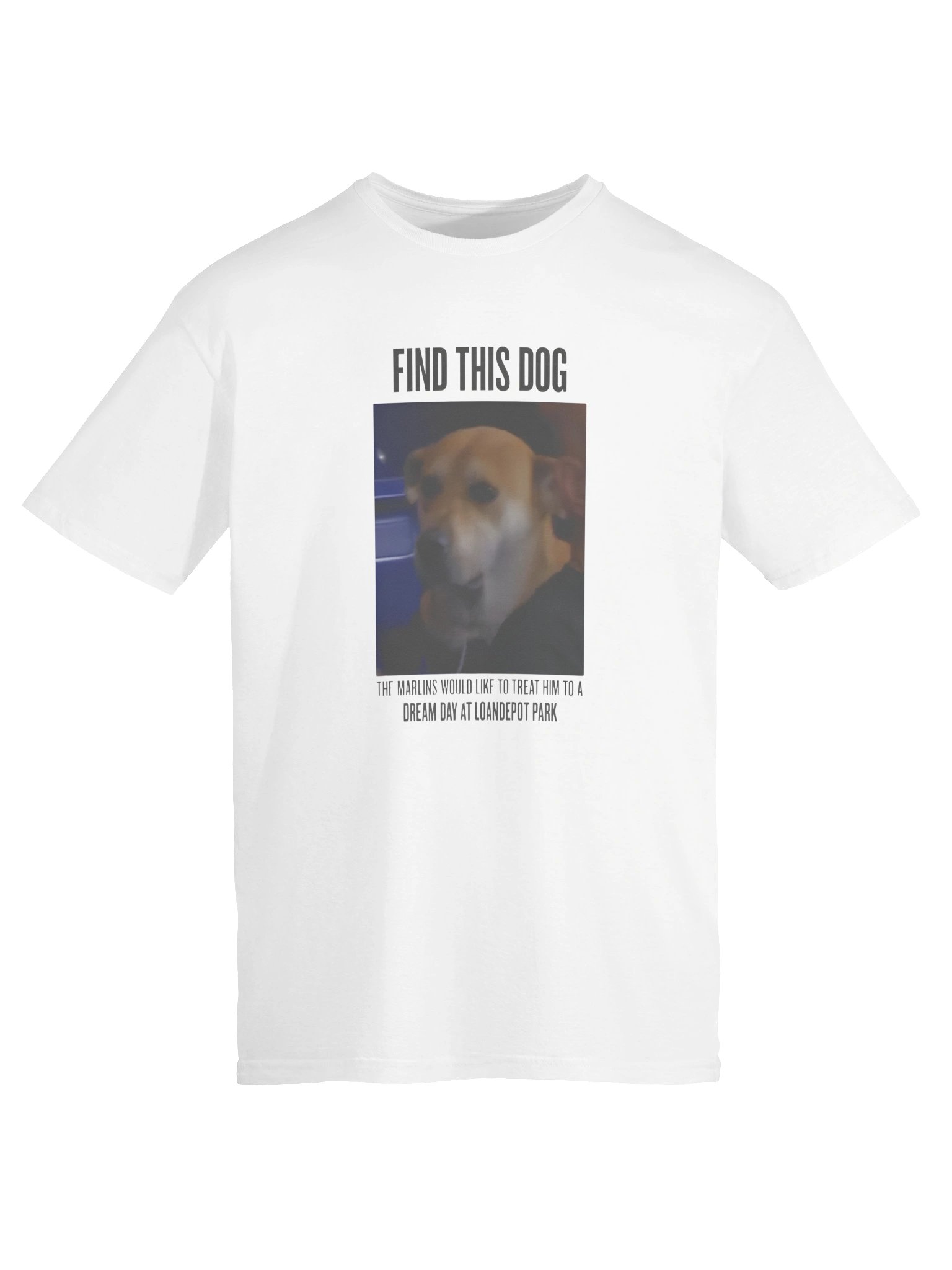 Find This Dog Marlins Dream Day Shirt product image (1)