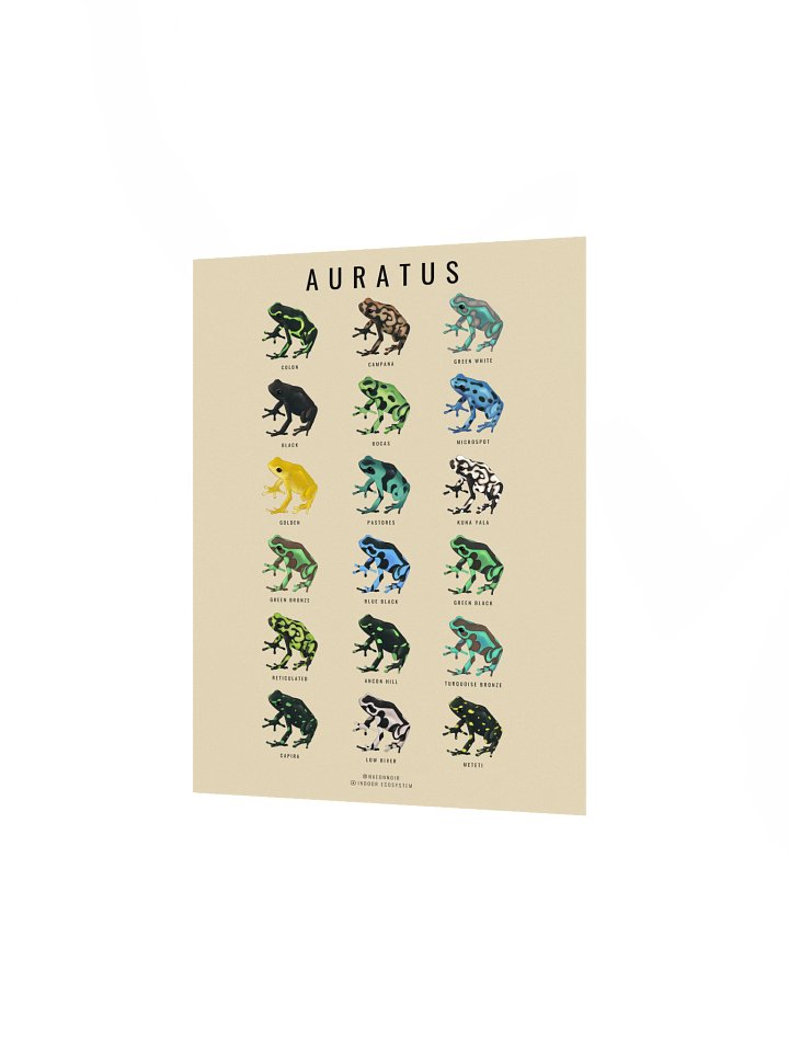 AURATUS DART FROG POSTER (CREAM) product image (2)