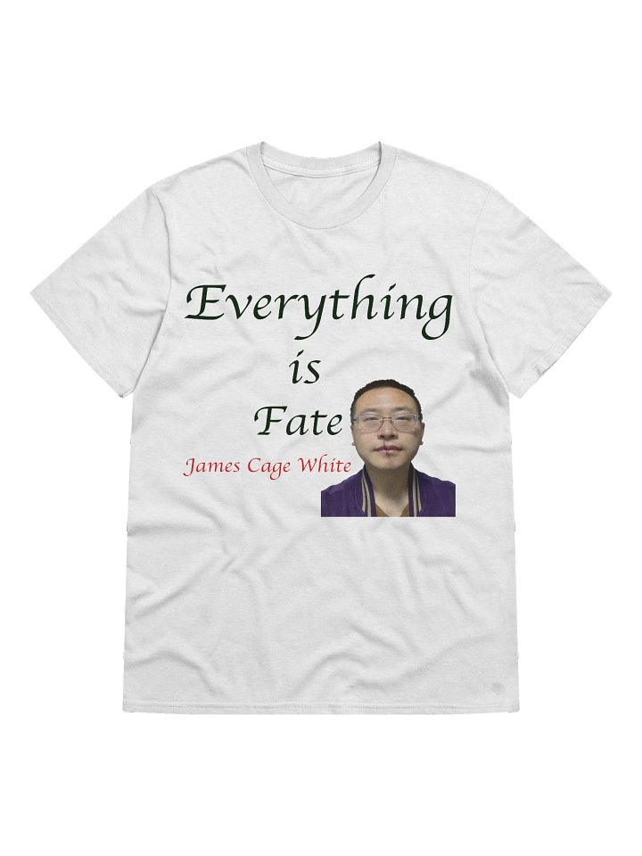 Gildan Lightweight Fashion Short Sleeve T-Shirt: fate product image (3)