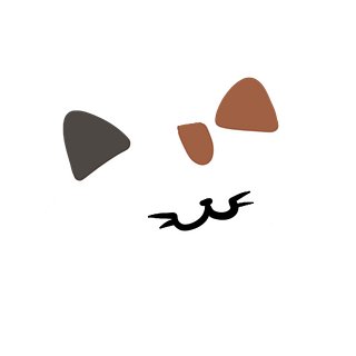 Merch — Cassie Cao
