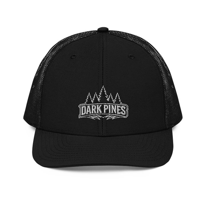 DP Snapback product image (1)