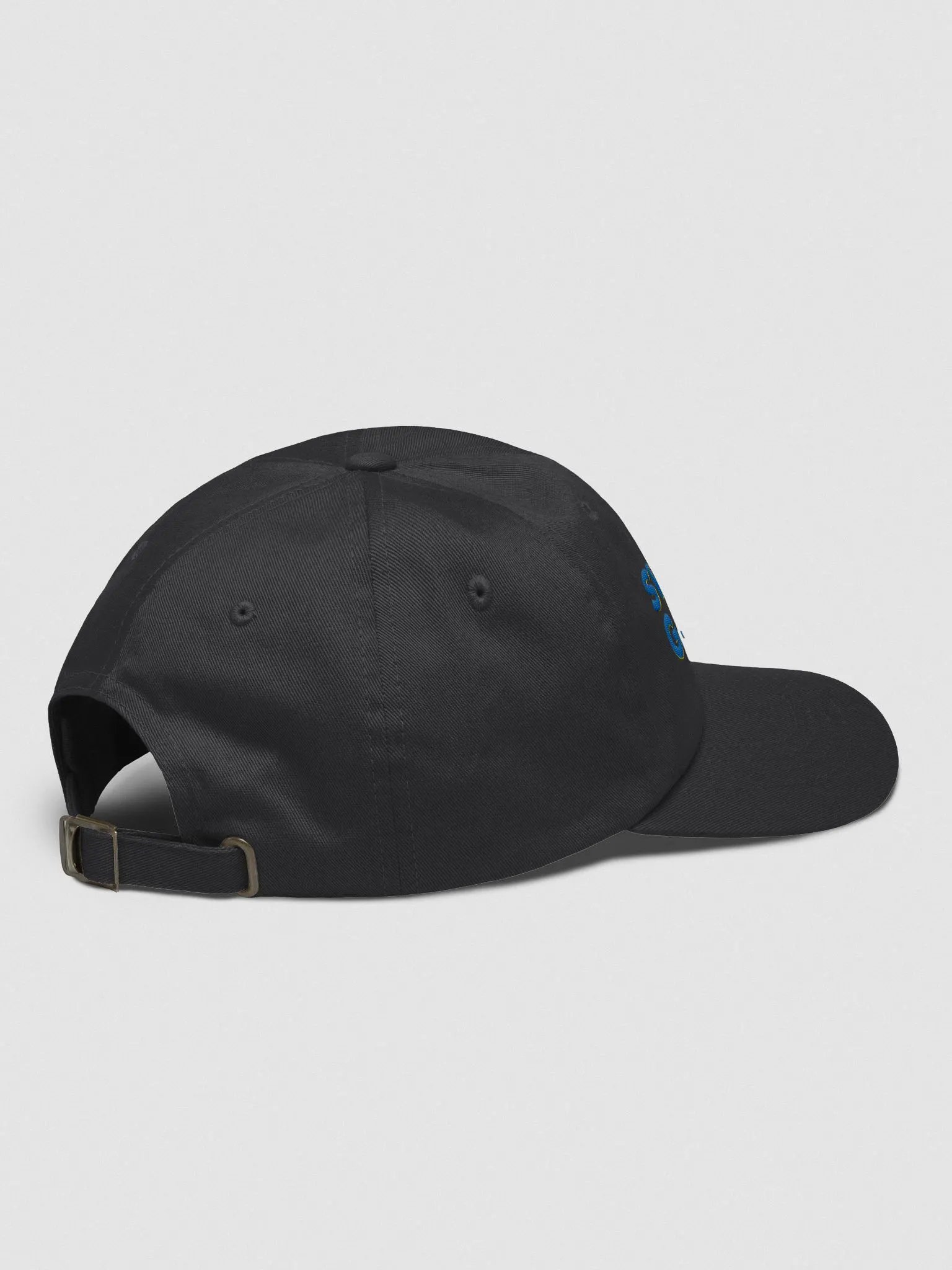 Swish Dad Hat product image (4)