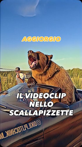 AGGIORGIO - Il videoclip nello scallapizzette 🐻

#doppiaggio #animali #roma #orso #orsi