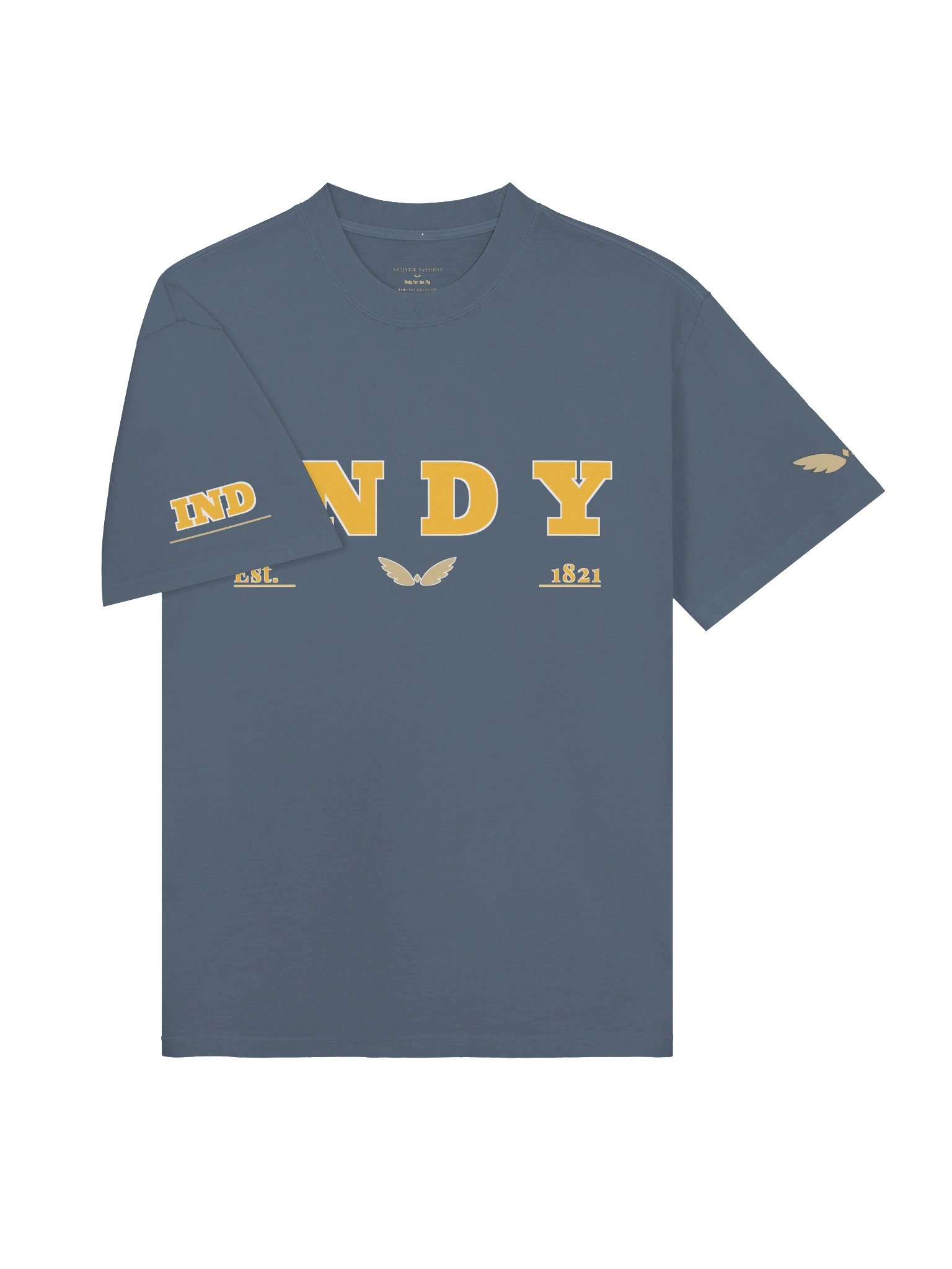 INDY · FADED TEE· NAVY BLUE product image (3)