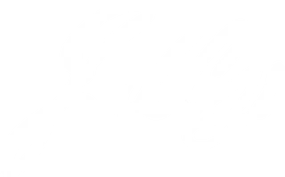 JillyBeany Official Merchandise