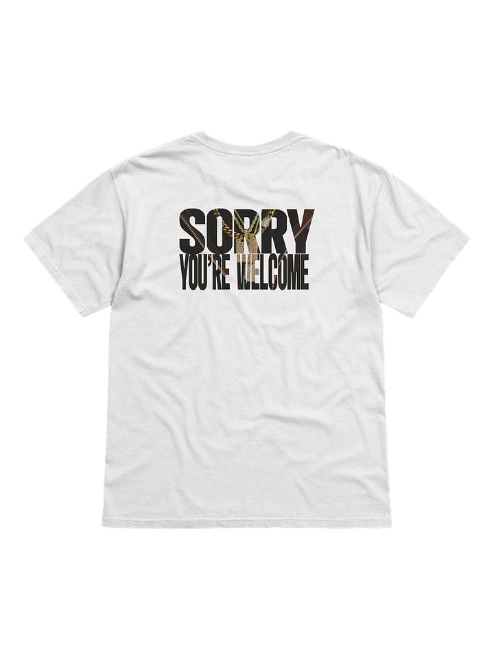 Sorry, You're Welcome (Second Look) product image (2)