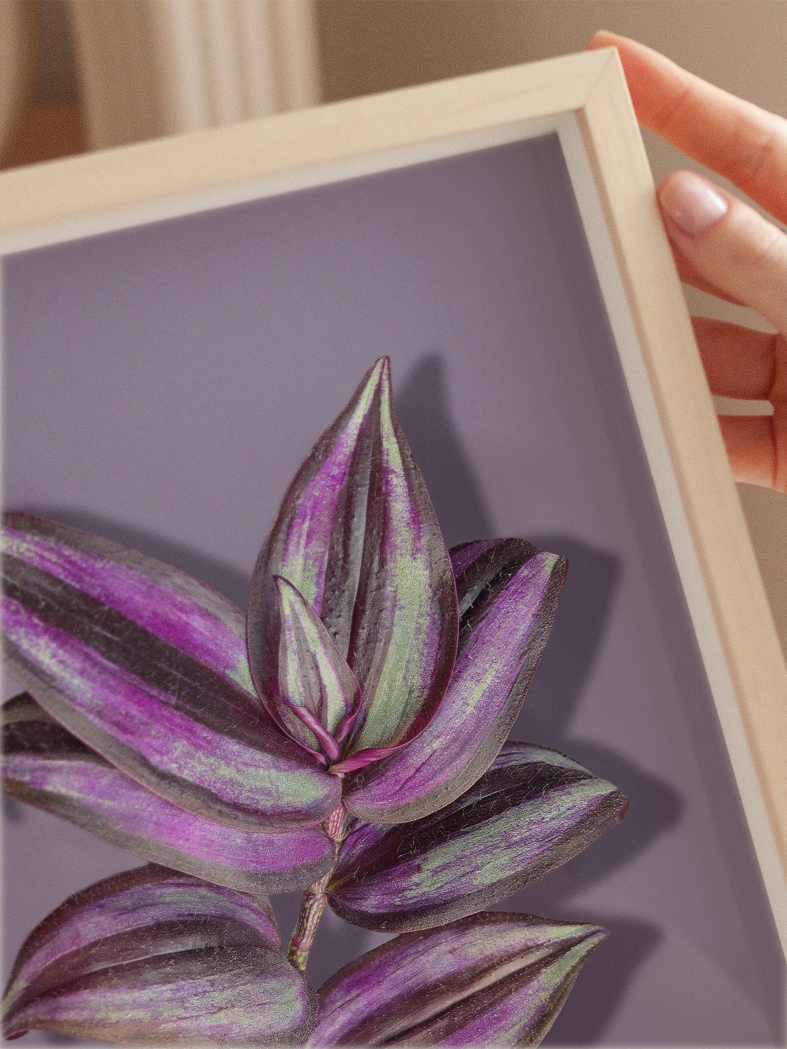Tradescantia Botanical Art Print | Purple Leaf Printable Wall Art Digital Download product image (2)