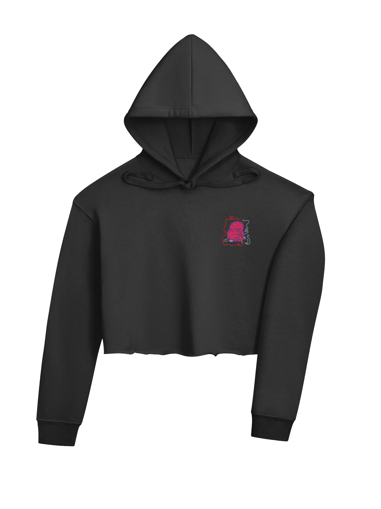 Embroidered Coloring Cosmo Cropped Hoodie product image (4)