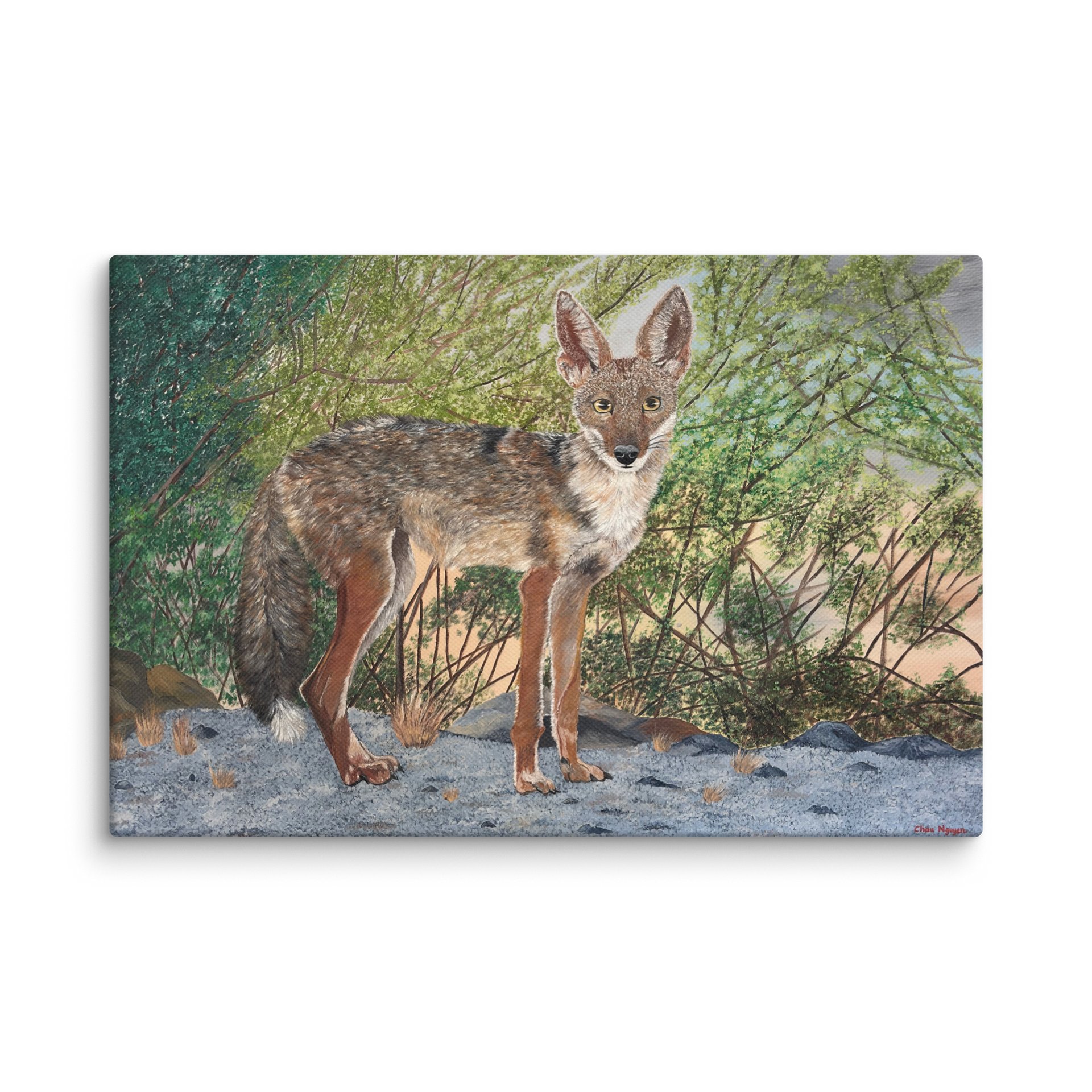 Shy Watcher - Canvas Print product image (1)