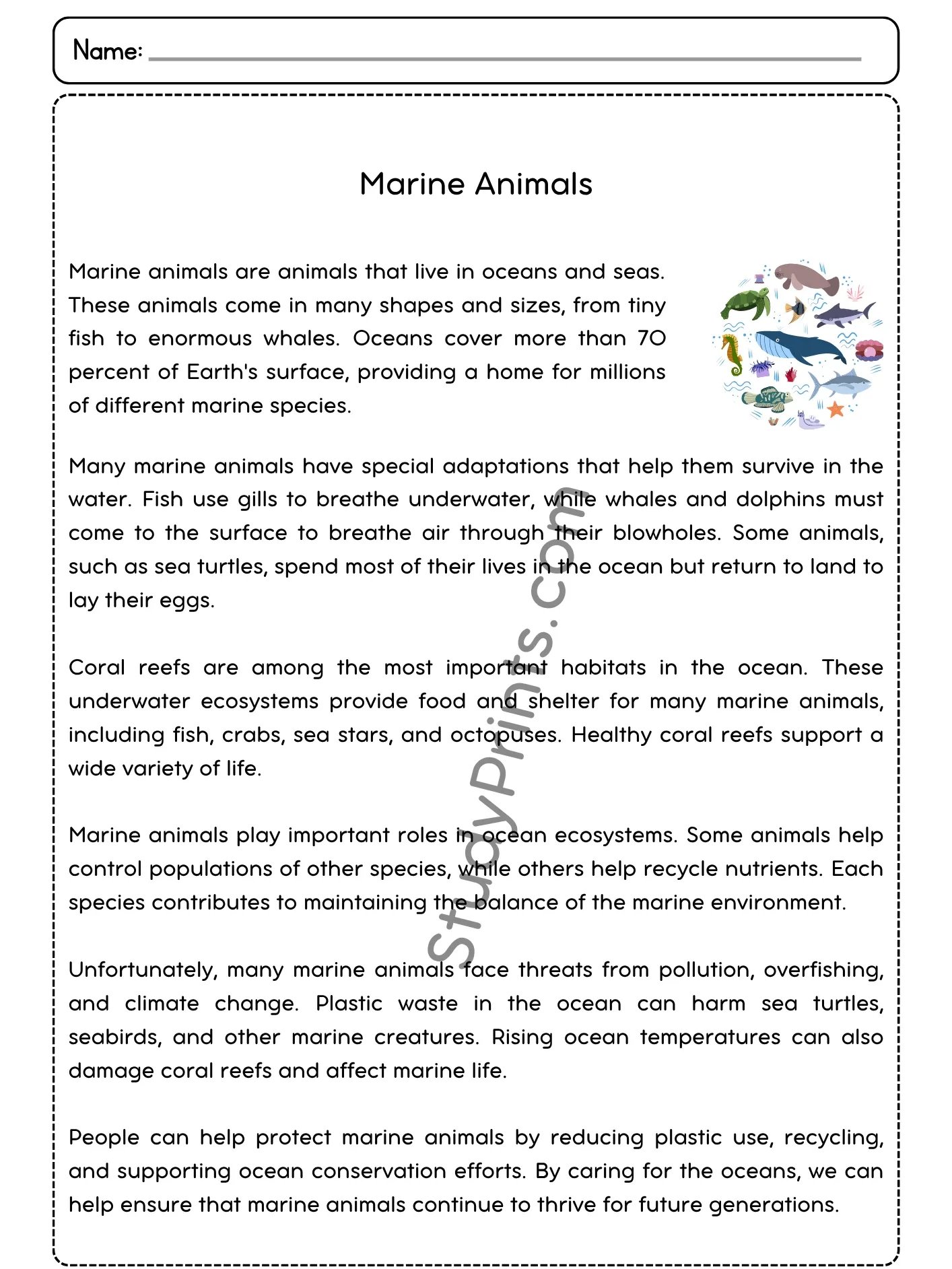 marine animals Reading Comprehension Passage and Questions | Printable PDF product image (2)