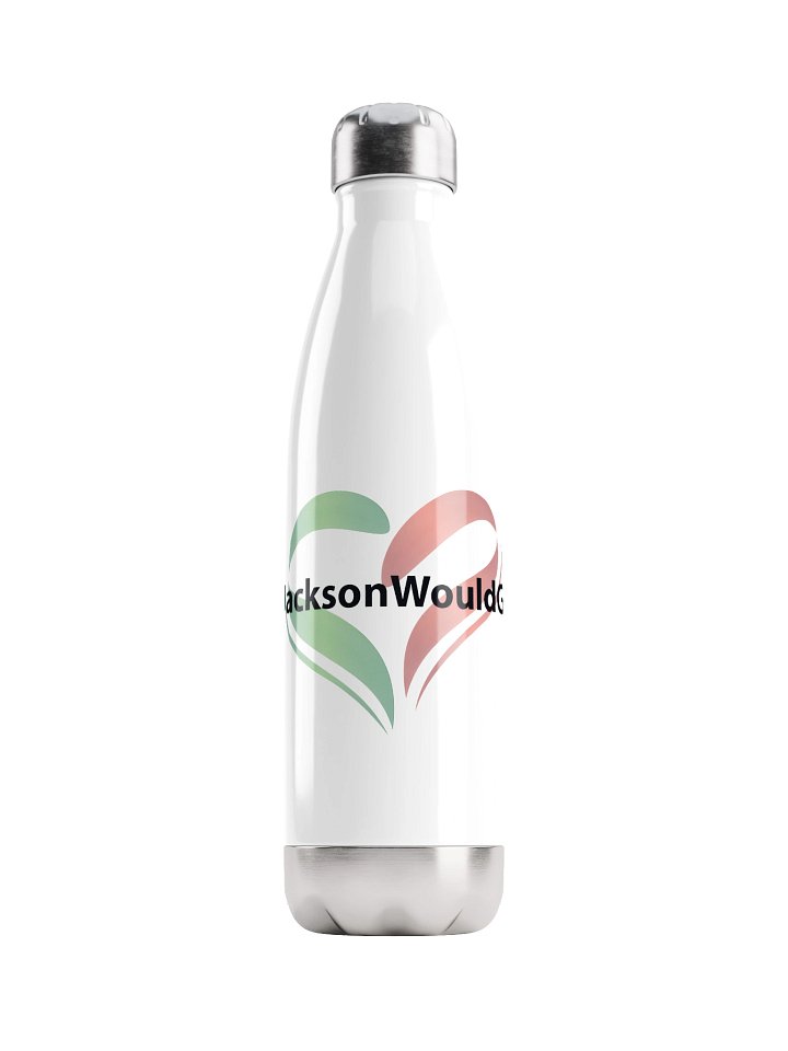 #JacksonWouldGo Stainless Steel Water Bottle product image (1)