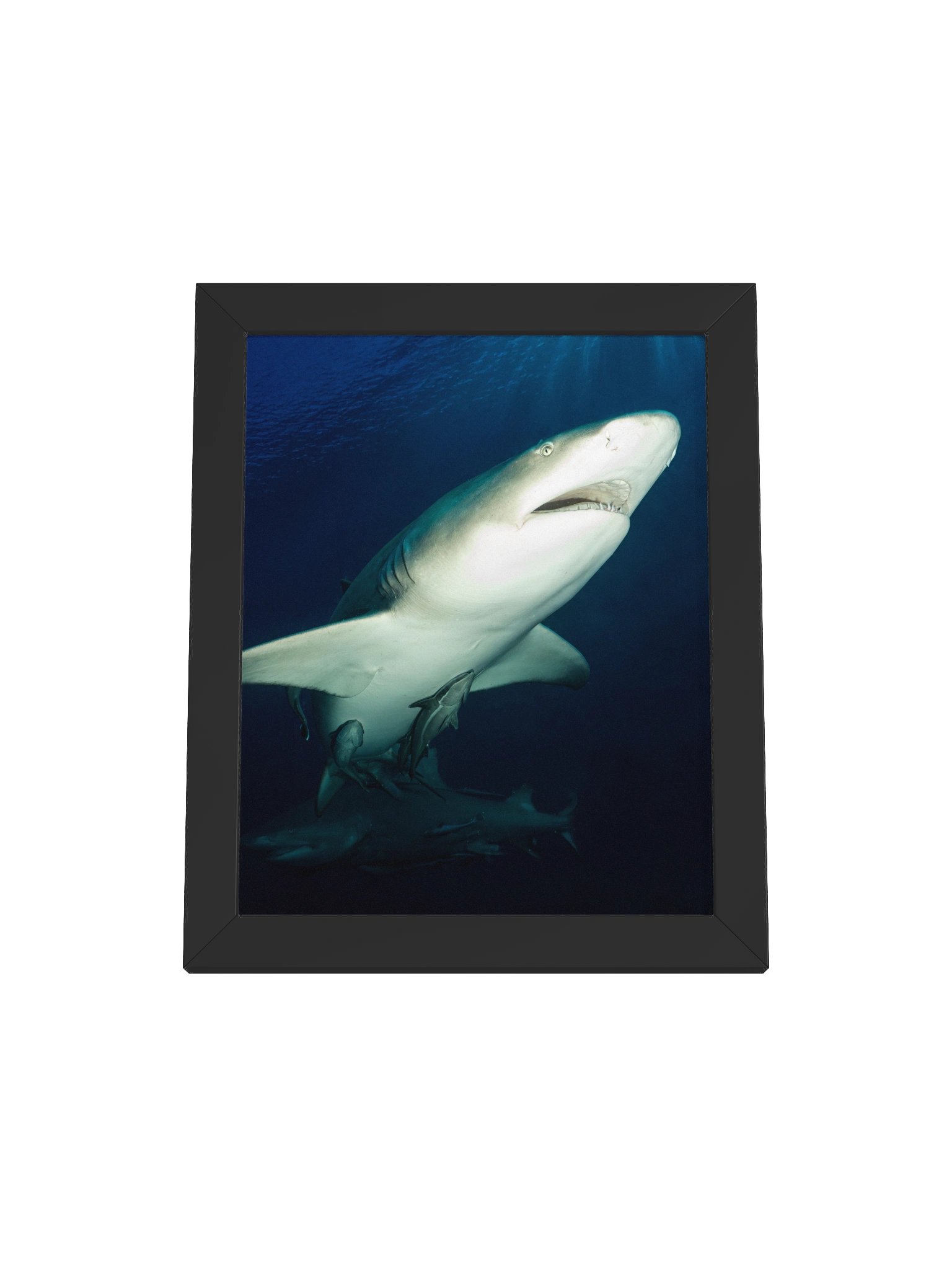 Upward Glide product image (1)