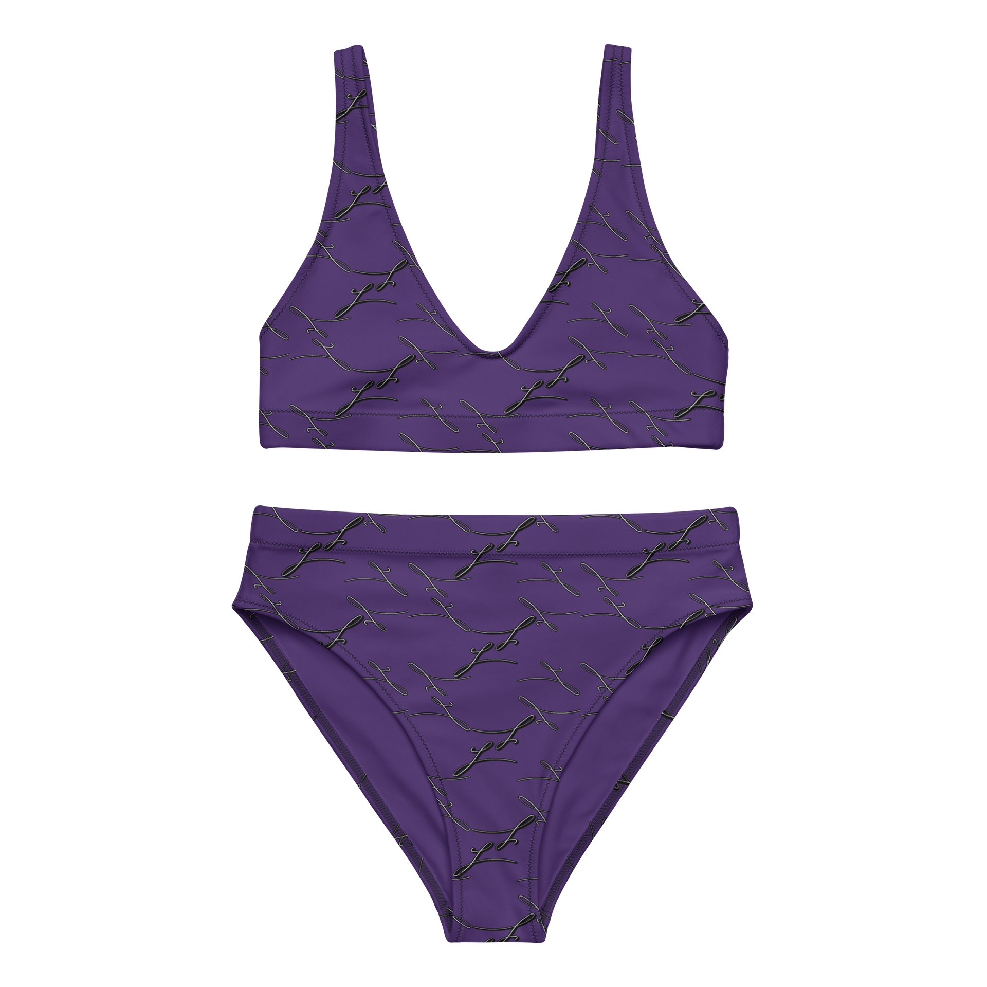 Purple Noir | High Waisted Bikini product image (2)