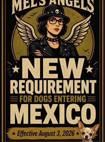 🚨 NEW REQUIREMENT FOR DOGS ENTERING MEXICO
Beginning August 3, 2026, pet dogs traveling from the United States into Mexico mu...