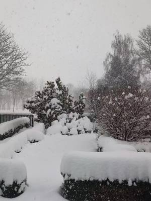 have to keep digging out the paths... probably about 40cm #snow #aberdeenshire 