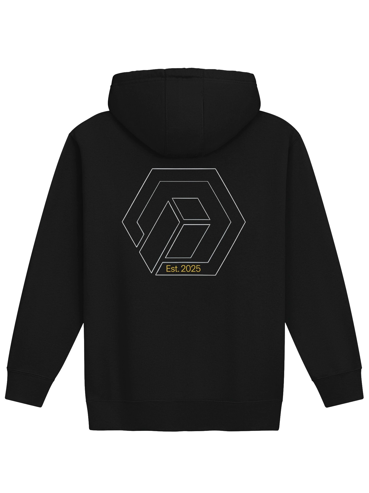 Unranked99 Est. 2025 Hoodie product image (12)