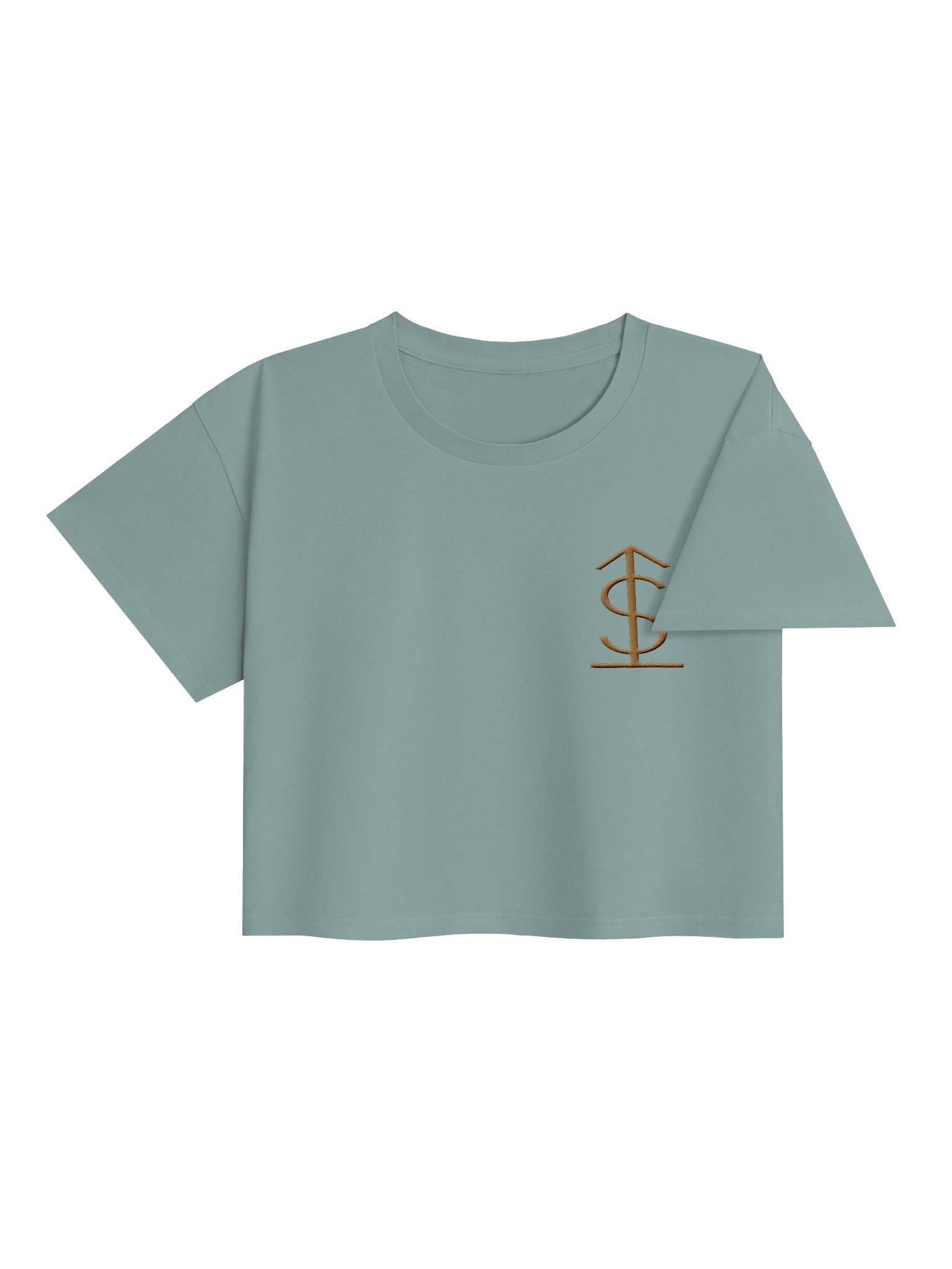 MONEY GLYPH CROP — view 16