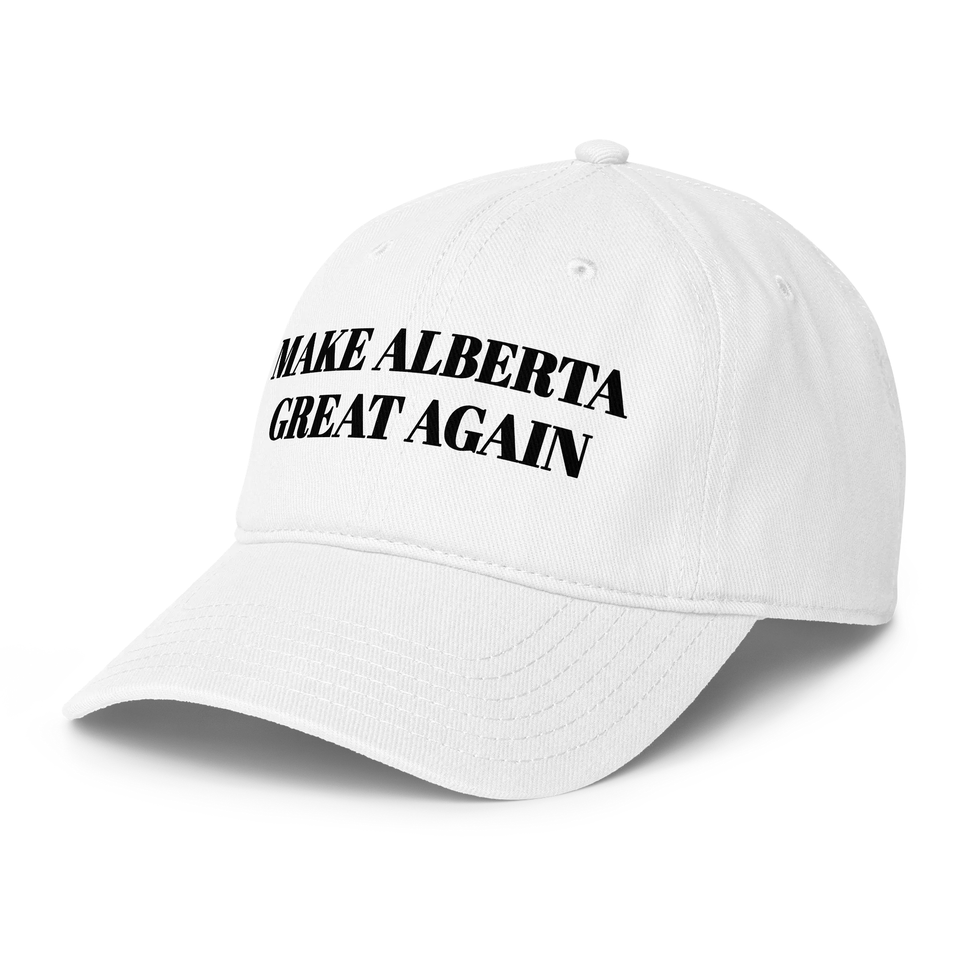 MAKE ALBERTA GREAT AGAIN HAT (BLACK) product image (2)
