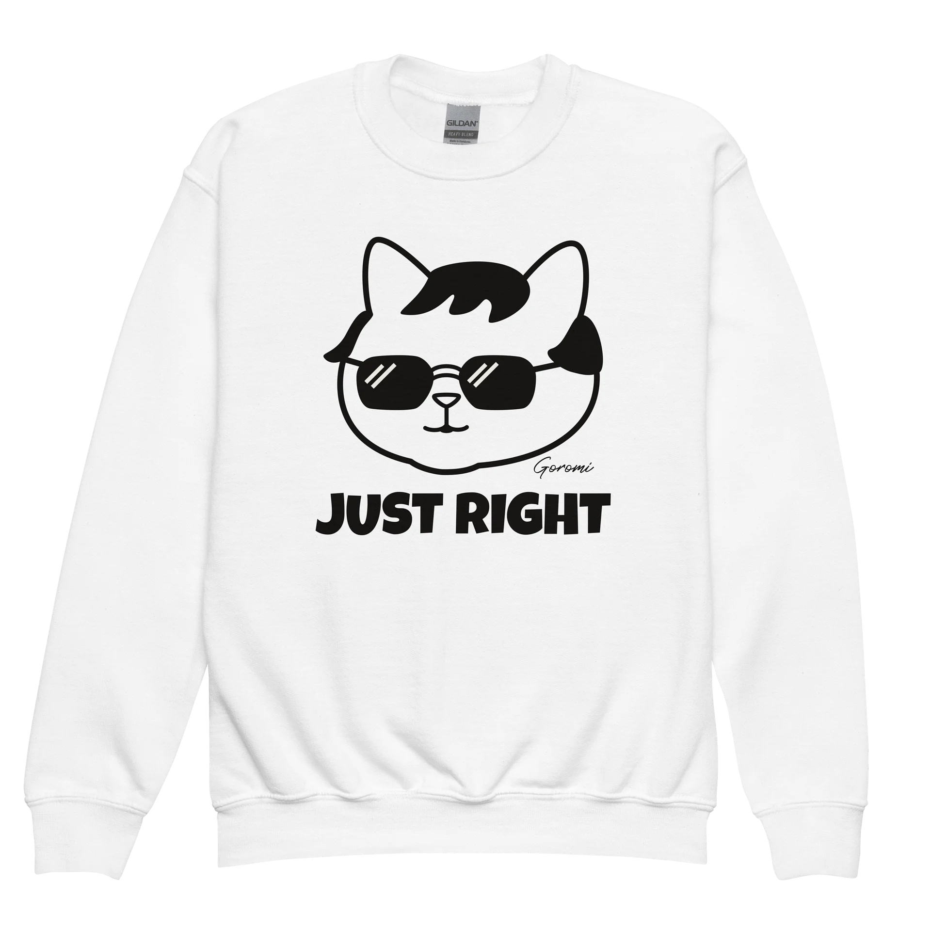 Goromi the Cat (JUST RIGHT) - Unisex Youth Sweatshirt product image (1)