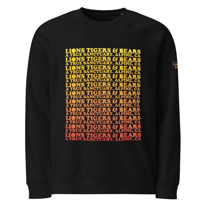 Gradient Raglan Crewneck product image (1)