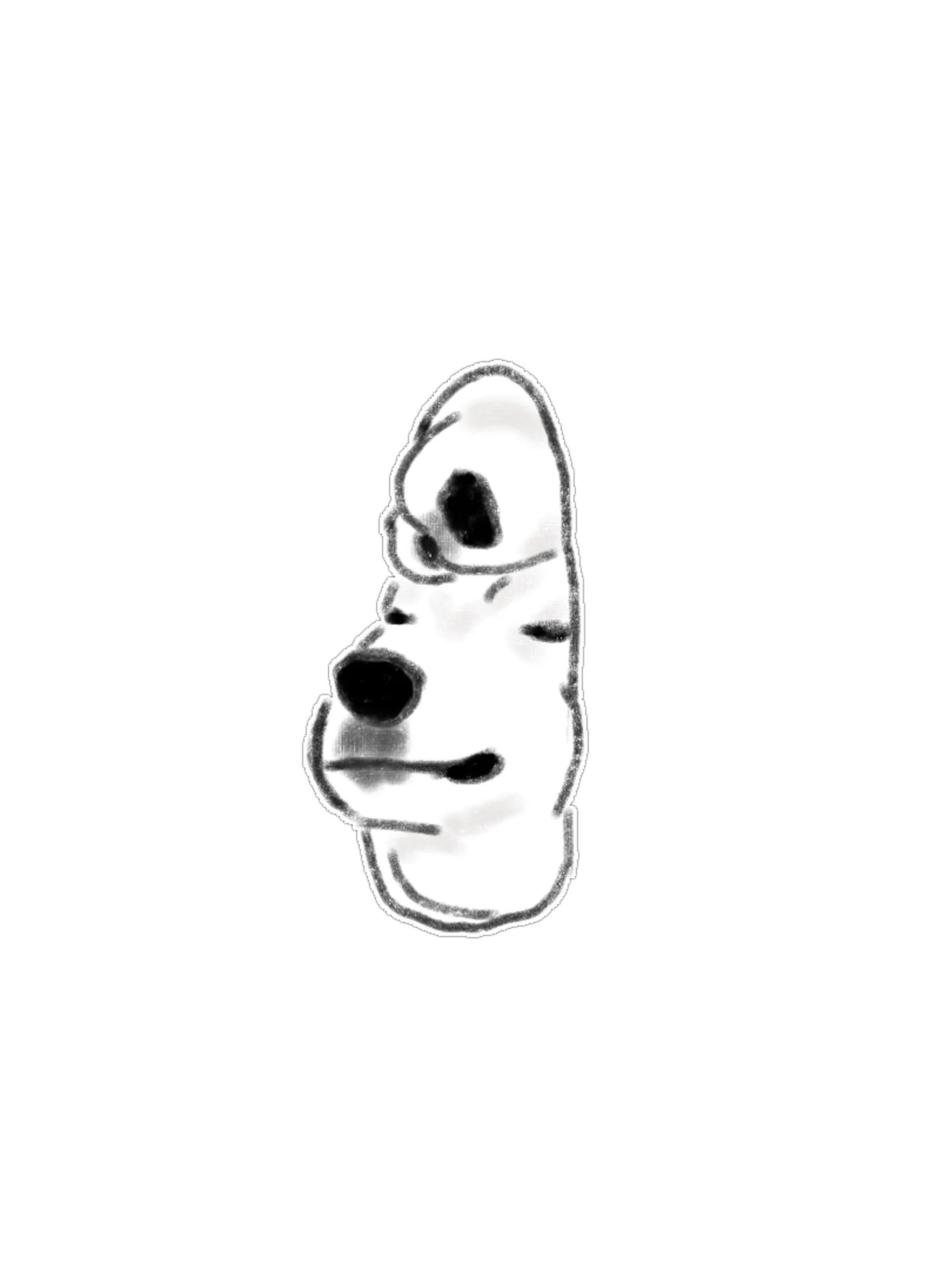 15 Hand-Drawn Animal Friends PNG Clipart Bundle product image (8)