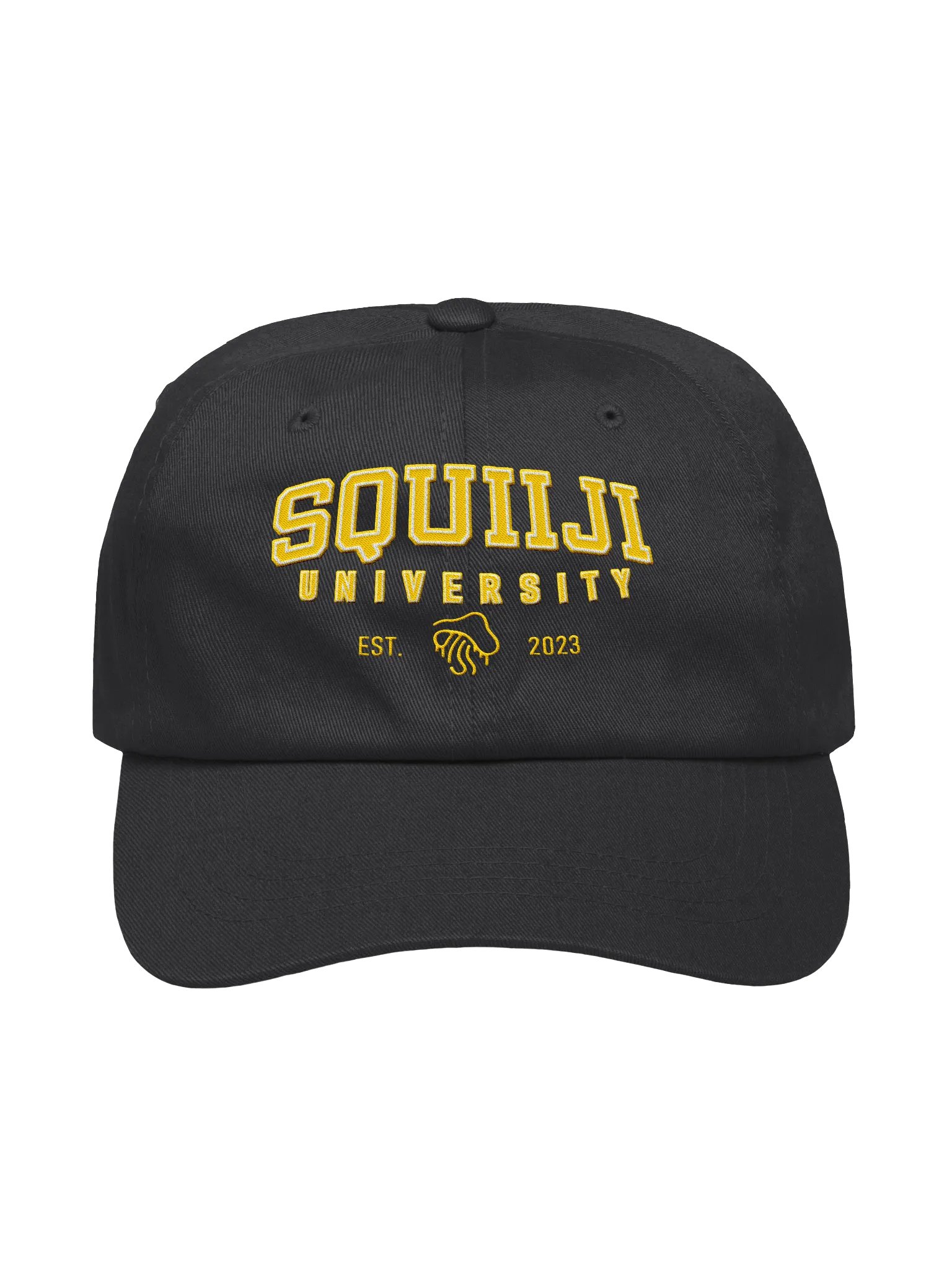 Squiiji University Ballcap product image (1)