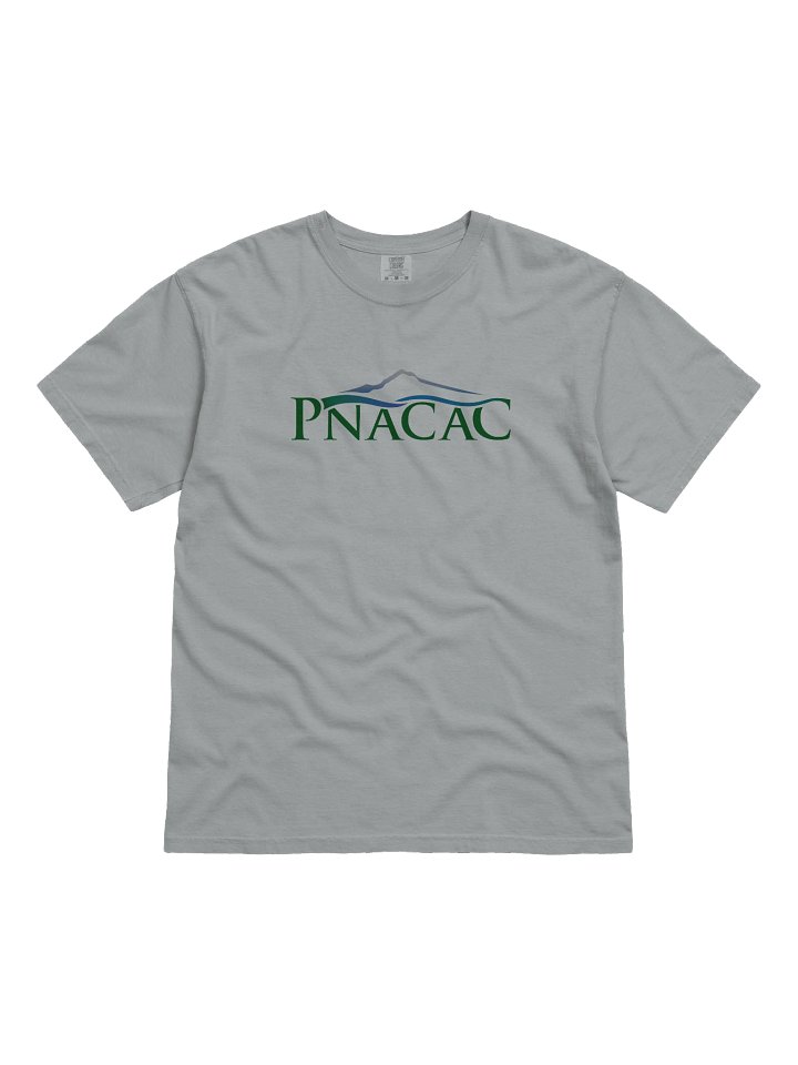 Heavyweight Tee - Color Logo product image (11)
