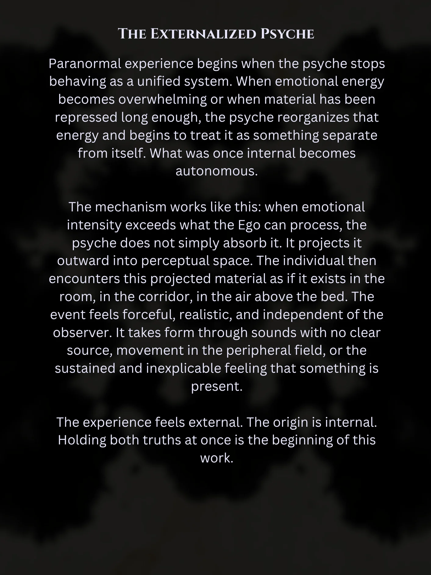 Phantasmagoric Logic: A Paranormal Containment System - Guide Only product image (5)