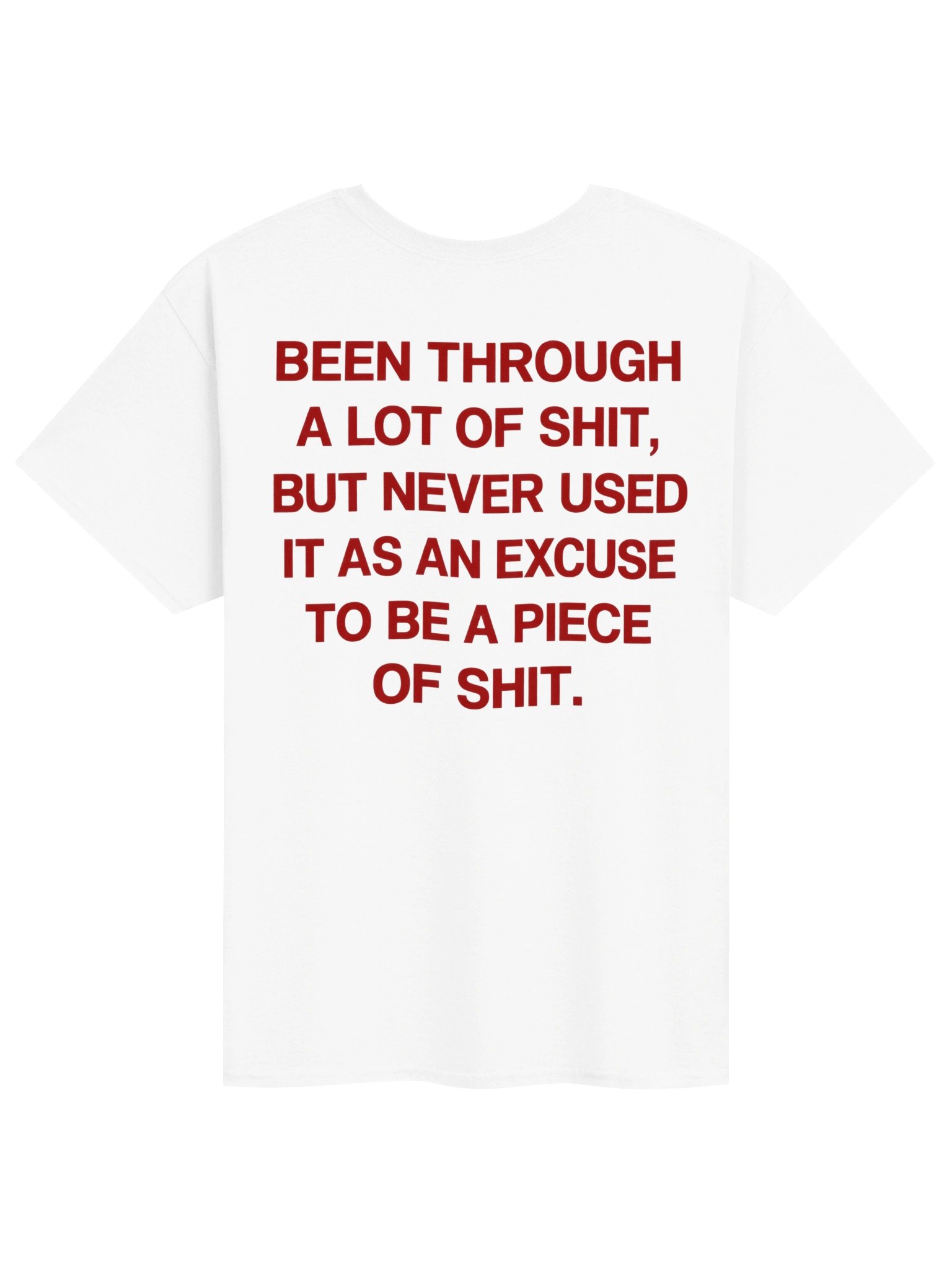 Been Through A Lot of Shit T-Shirt – Never Used It as an Excuse product image (70)