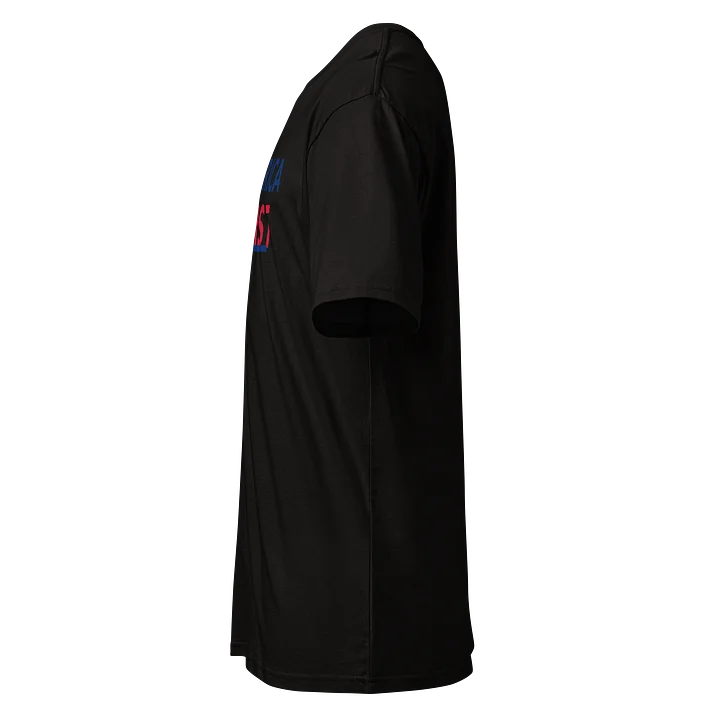 America First T- Shirt product image (2)