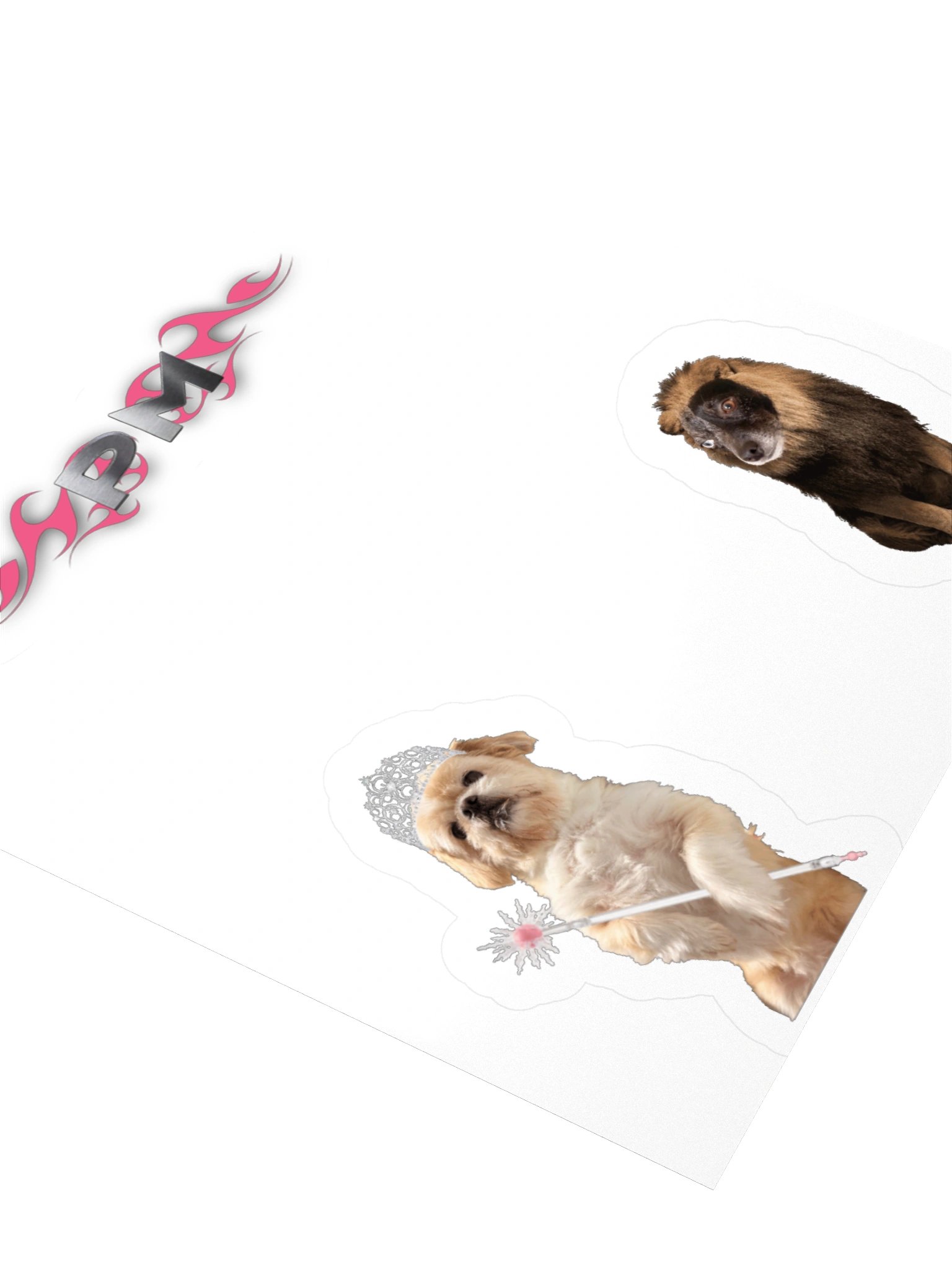 PM-DOG product image (6)