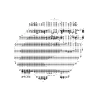 Shop | Scrapybara