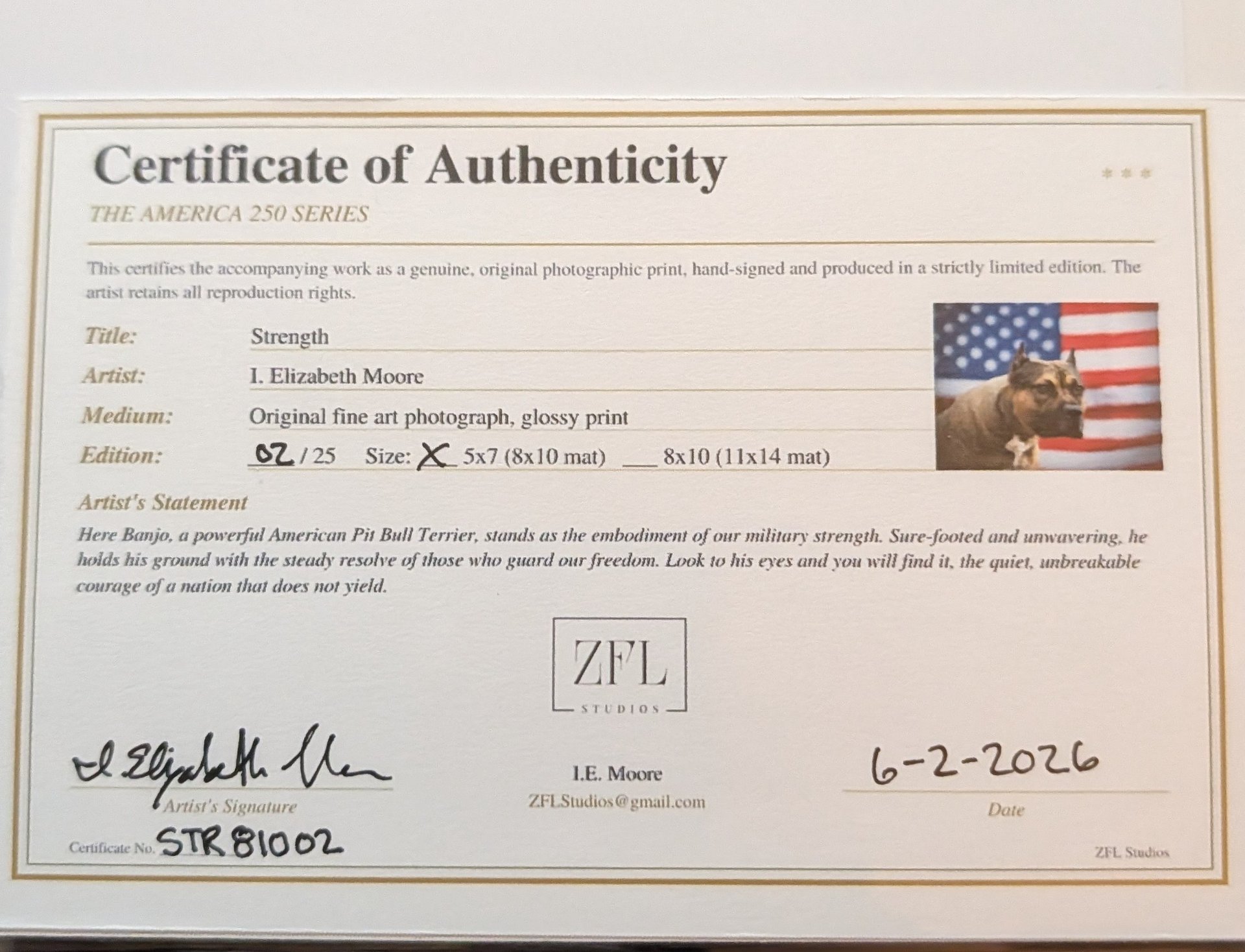 Strength Limited Edition Print – American Pit Bull Terrier USA Flag (Signed 5x7 matted 8x10) product image (3)