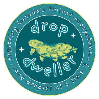 DropDweller