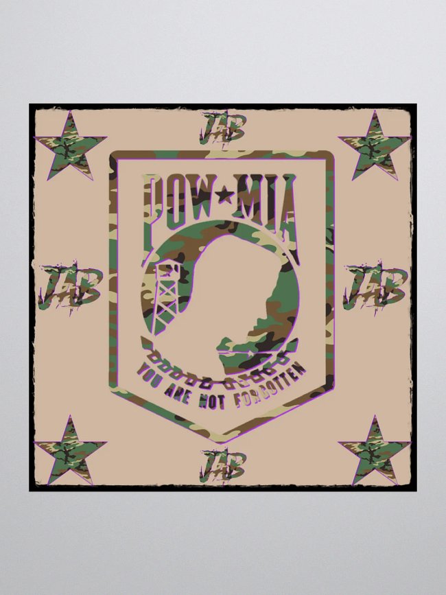 POW MIA COLLECTION
