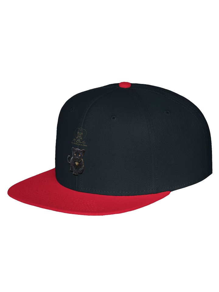 Big Noem Snap Back product image (2)