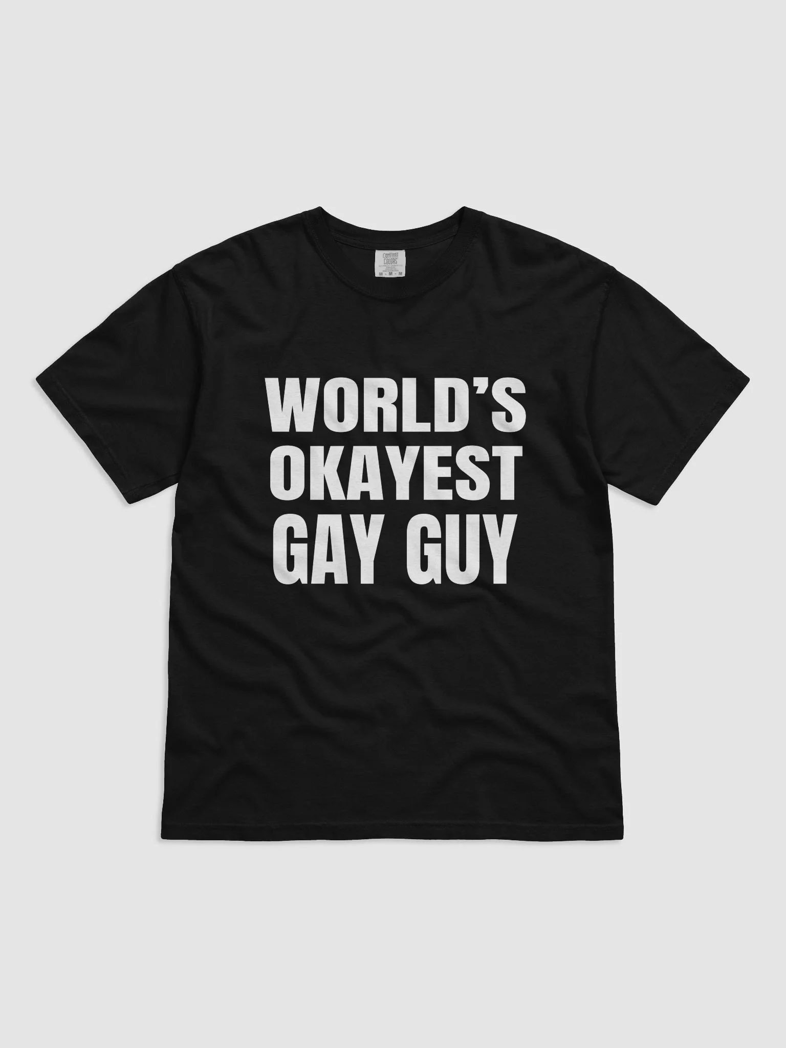 World's Okayest Gay Guy T-Shirt