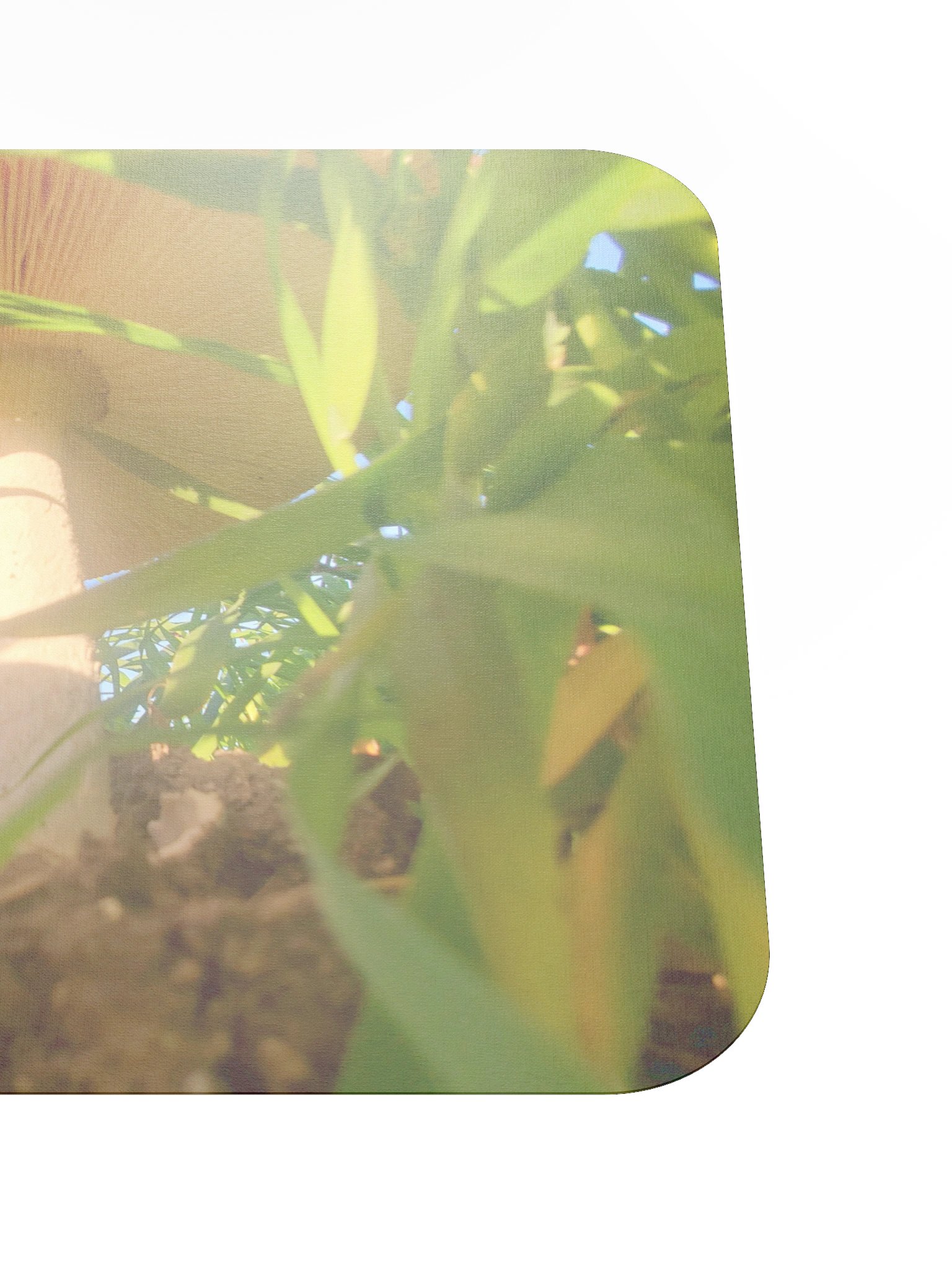 Sunlit Mushroom Mouse Pad product image (5)