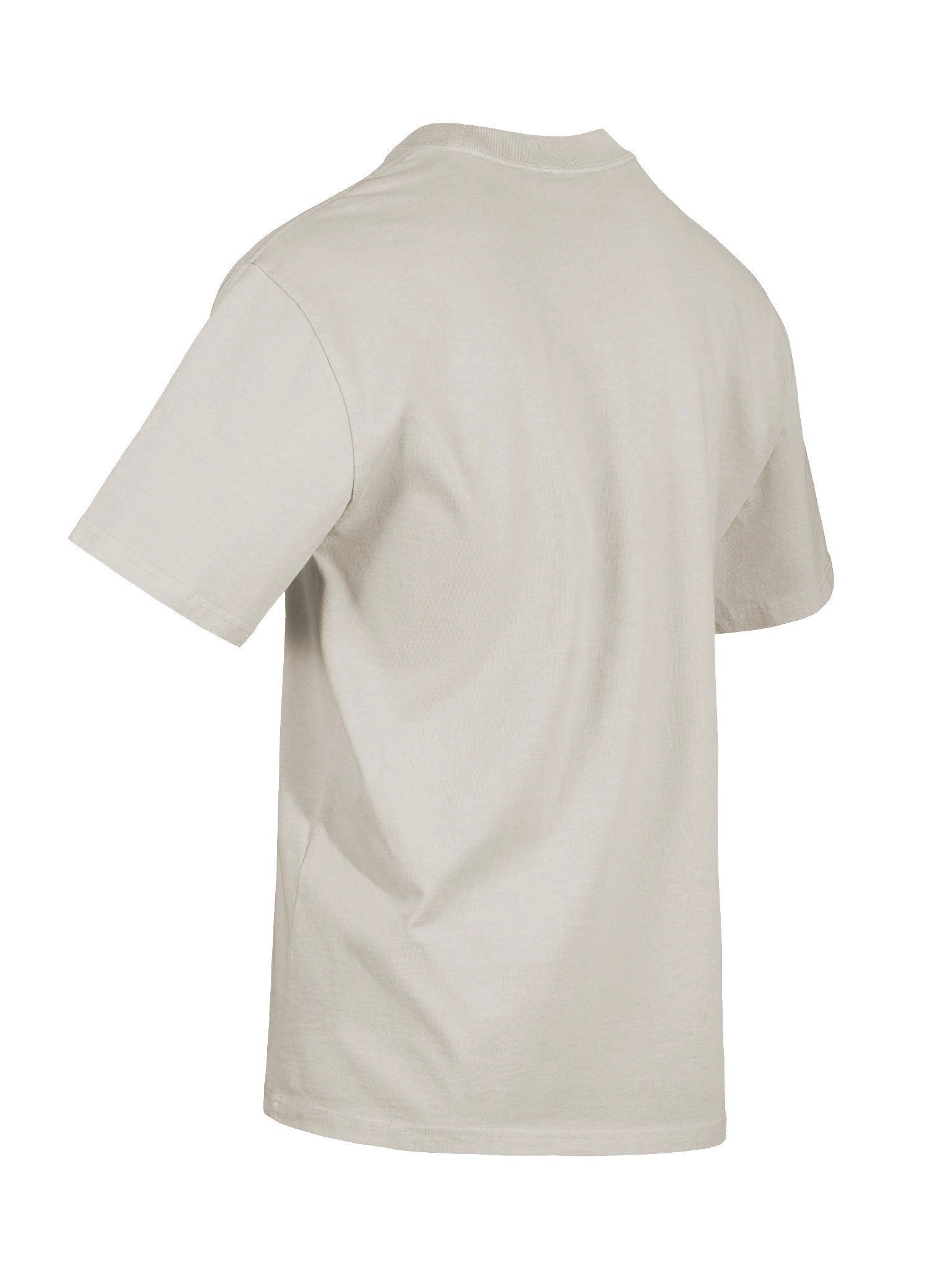 Venomous Beauty: Poison Ivy Thorned Temptation Oversized Faded Unisex T-Shirt product image (9)